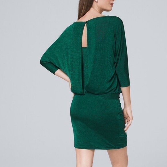 WHBM Space  Blouson Dress Size XXSP - Picture 9 of 16